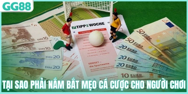 Tại sao phải nắm bắt mẹo cá cược cho người chơi